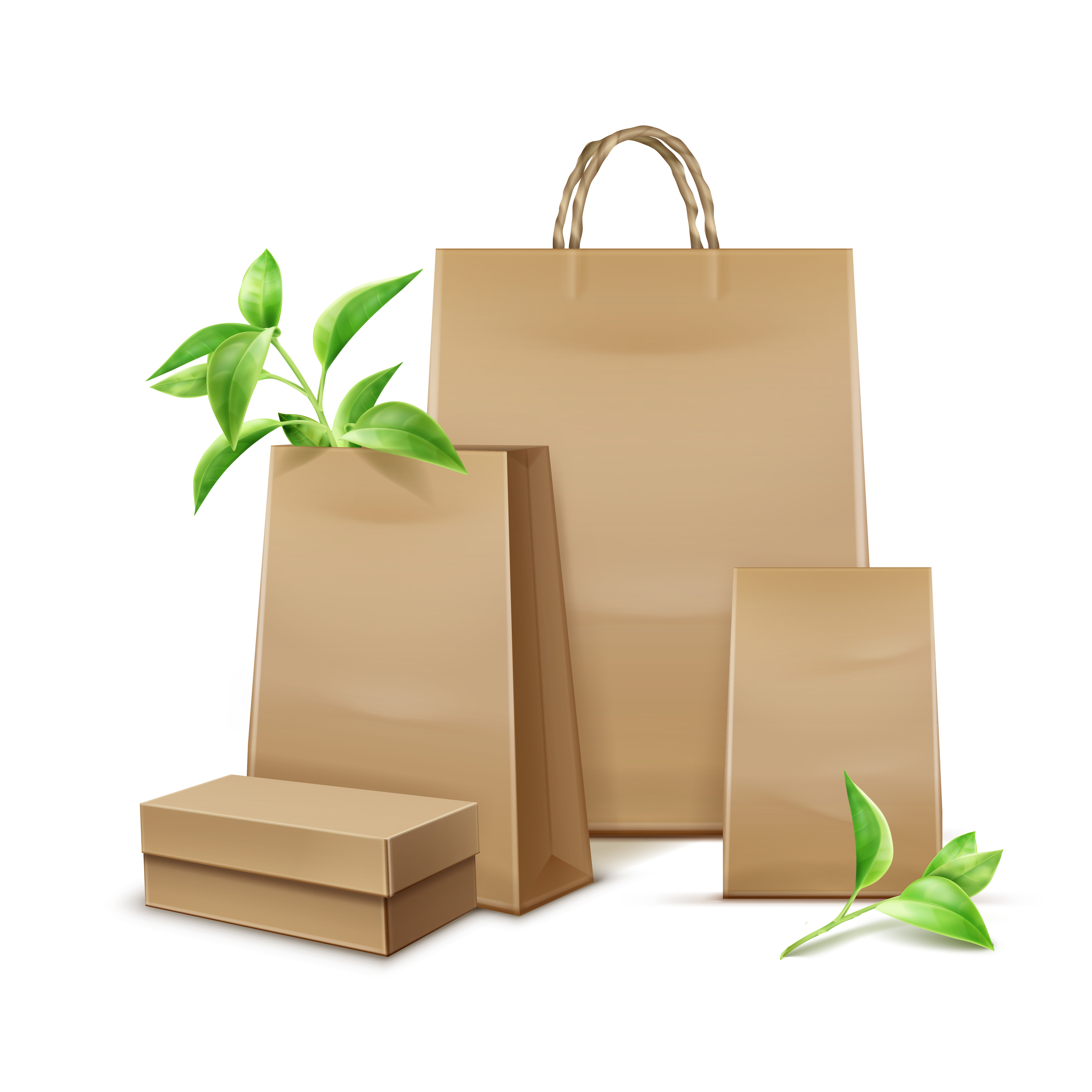 Vector blank kraft paper bags with leaves for branding on white background